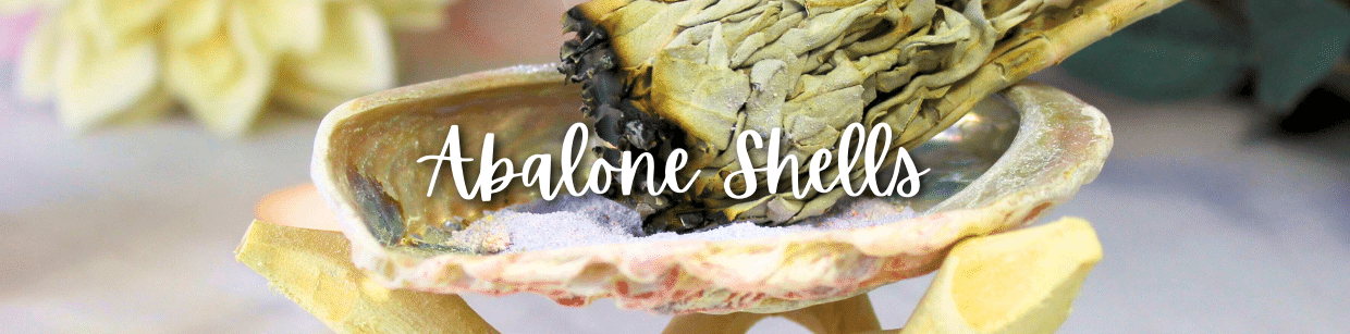 Abalone Shell