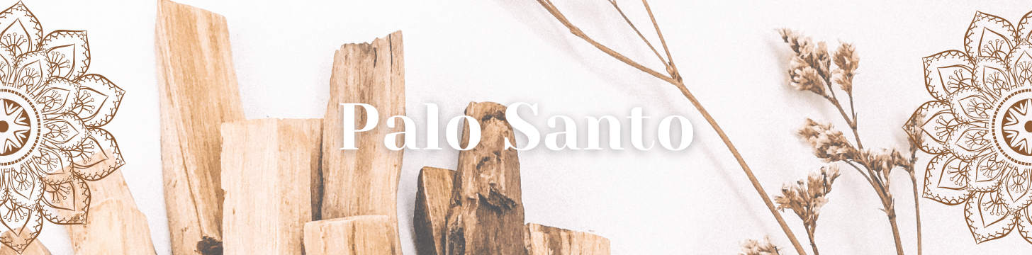 Palo Santo Heilig Hout Palo Santo Heilig Hout