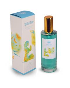 Huisparfum Spiritual Home 100ml