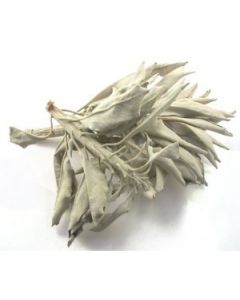 Witte Salie Blaadjes 500 Gram