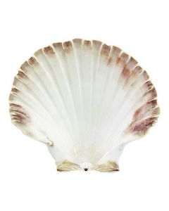 Smudge Shell