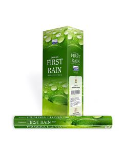 Darshan First Rain Hexa