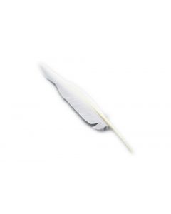 Smudge Veer Wit 35Cm