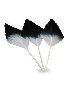 Kroonblad in veren - 10-12 cm x 5 cm - zwart-wit