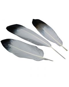 Zwaan schouder 15-20 cm wit met zwarte punt