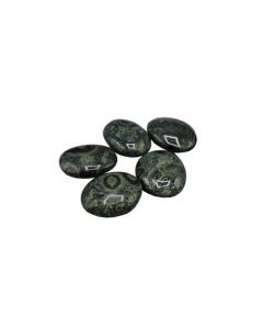 Polished gem set of Jasper Kambaba (100 grams) 5 pieces