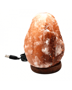 USB Himalaya Zoutlamp Oranje 1kg