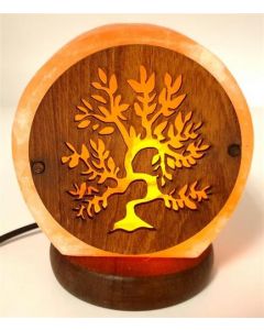 USB Himalaya Zoutlamp Tree of Life 1kg