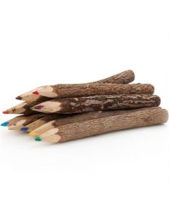 Houten Kleurpotloden