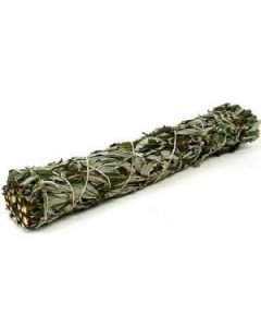 Black Sage 10 cm 3 stuks
