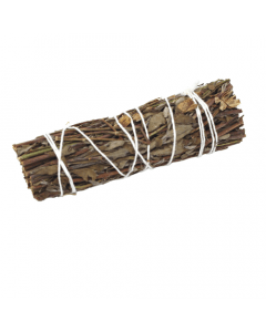 Mountain Sage 10 cm 