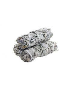 Witte Salie Mini Smudge Stick