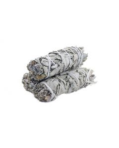 White Sage Mini Smudge Stick