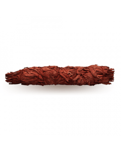 Drakenbloed Salie Groot