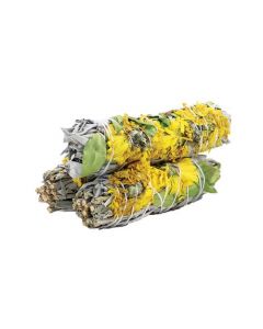 Zonnebloem Salie Smudge Stok 10cm (prijs per stuk)
