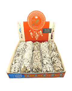 Native Soul Witte Salie Groot 5 stuks met display 