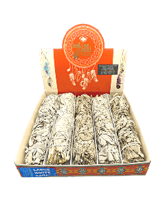 Native Soul Large White Sage Display 5 pcs