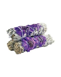 Purple Daze Sage 10cm (3stuks)
