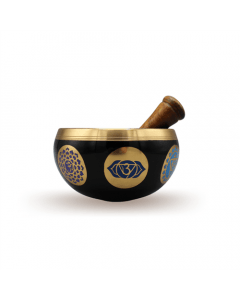 Singing bowl 7 chakras