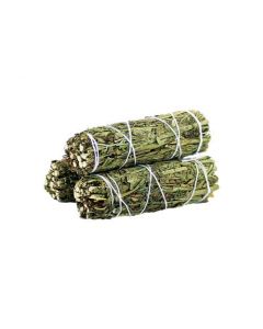 Ruda Rue Salie Smudge Stok 10cm (prijs per stuk)