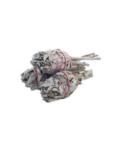 Mini Witte Salie Smudge Stok