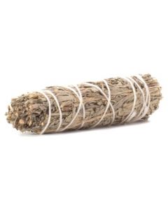 Blue Sage 10 cm 3 stuks
