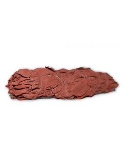 Dragon's blood Sage 10 cm