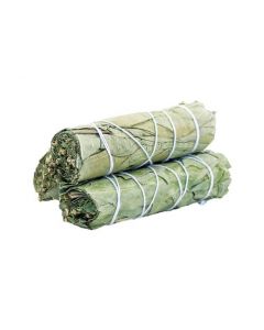 Eucalyptus Salie smudge Stok 10cm (prijs per stuk)