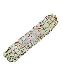 Witte Salie Smudge Stick 23-25cm.