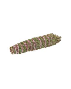 Juniper 10 cm