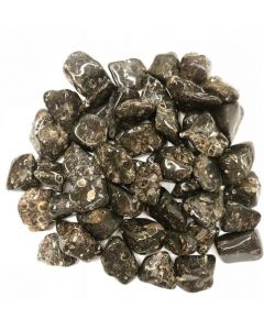 Turitella Agaat Java - Indonesië Gepolijste steen 250 gram