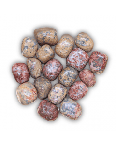 Luipaard Jaspis Gepolijste Stenen Mexico 250 gram