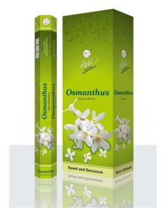 Flute Osmanthus Hexa