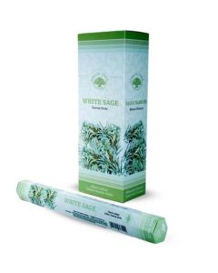 Wierook Witte Salie 120st.