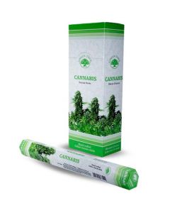  Green Tree Cannabis Incense