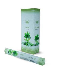  Green Tree Sage Incense