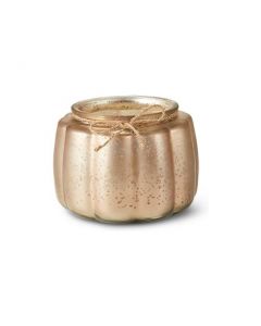 Green Tree Pumpkin Jar Spice 480 gram
