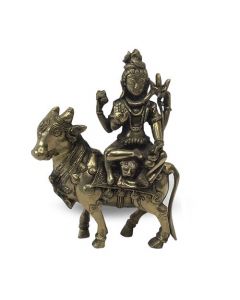 Shiva Op Koe 21 Cm