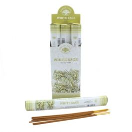 【即日発送】EVANS BANKNOTE INCENSE HOLDER グリーン EVANS KOTA OKUDA BANKNOTE INCENSE HOLDER - メルカリ
