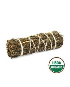 Desert Sage 10 cm