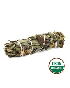 Shasta Sage 10 Cm