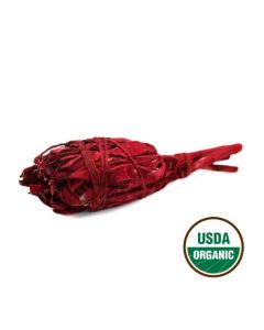 Dragonsblood Torch Sage 10 cm
