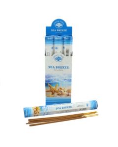 Green Tree Sea Breeze Incense