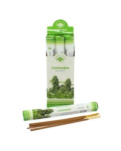  Green Tree Cannabis Incense