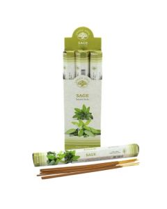  Green Tree Sage Incense