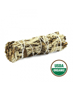 Yerba Santa Sage 10 Cm