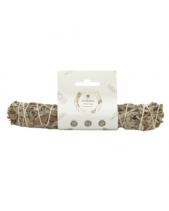 Purification White Sage Smudge Stick 22 cm with Label